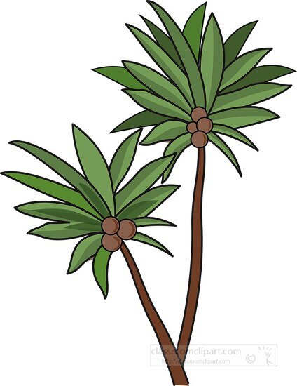 two coconut trees clipart