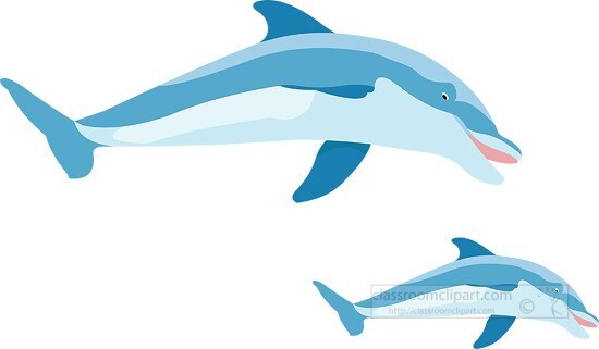 two dolphins side by side clipart