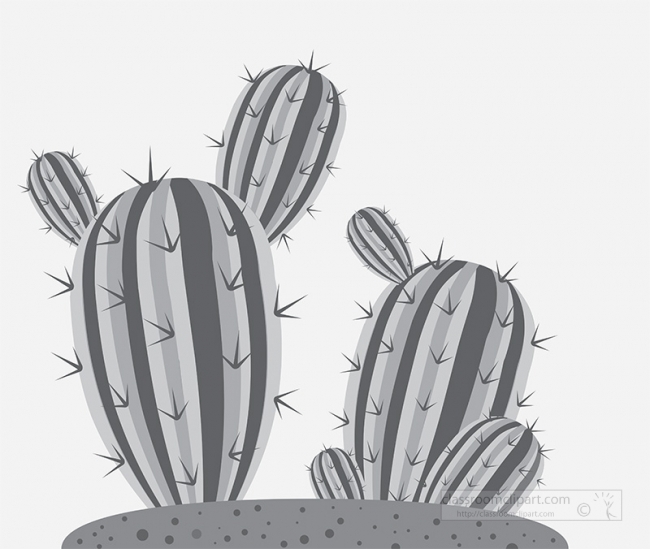 two growing cactus vector gray color
