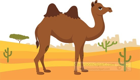 two humped camel staniding in desert clipart