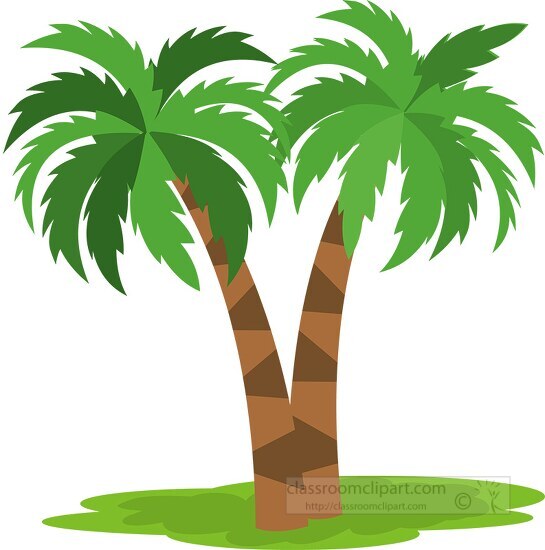 two palm trees flat design clipart