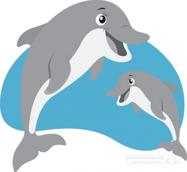 two playful dolphin gray color