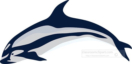vector illustration of whale