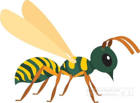 wasp insect clipart vector illustration