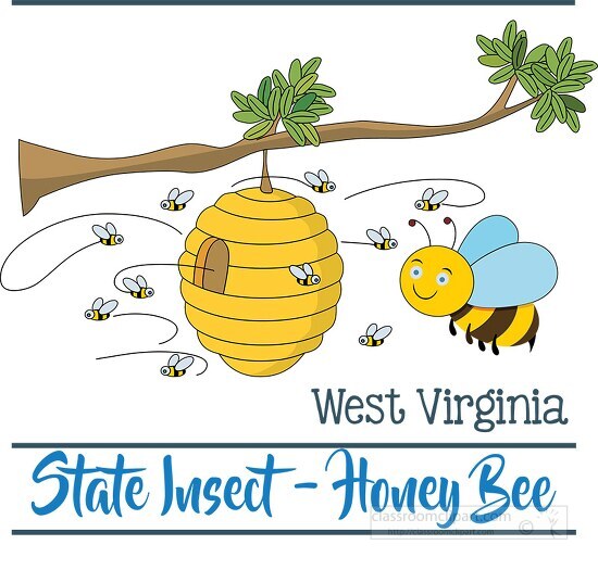 west virginia insect the honey bee clipart image