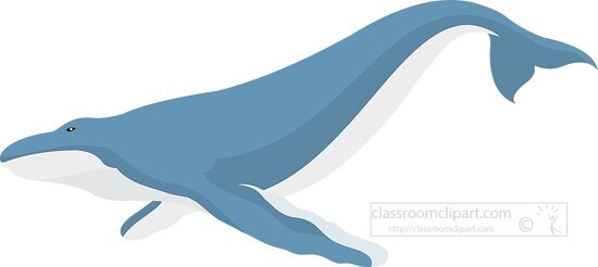 whale vector clipart 1645
