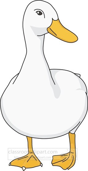 white duck 330