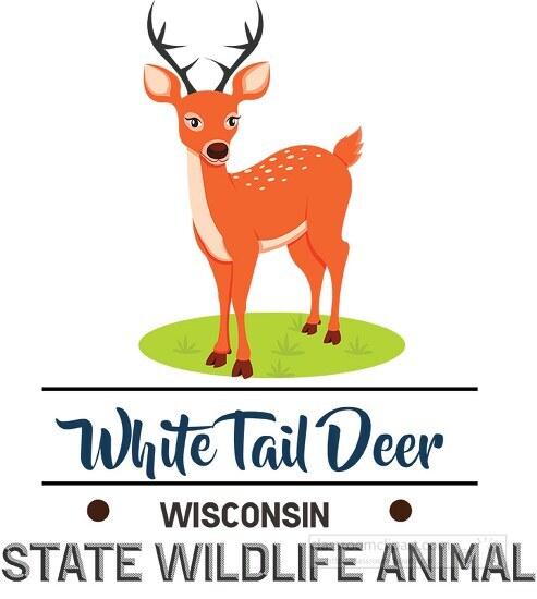 wisonsin state wildlife animal white tail deer clipart