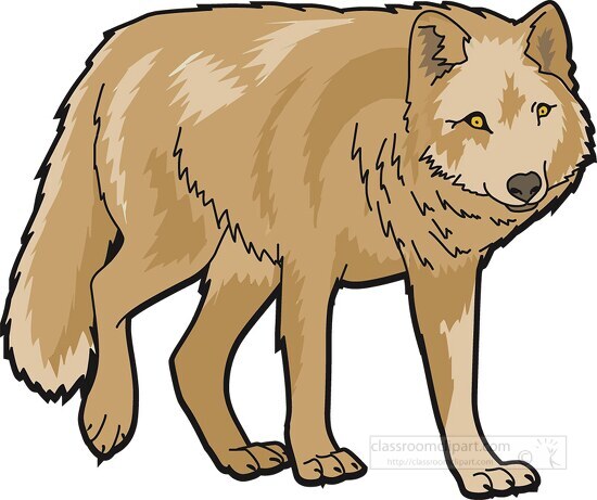 wolf animal clipart