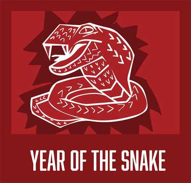 year of the snake chinese new year