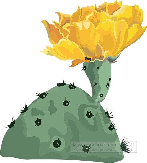yellow cactus flower clipart