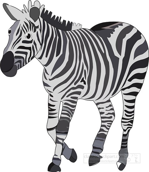 zebra MA202