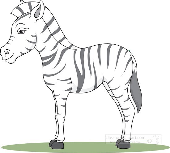 zebra vector clipart