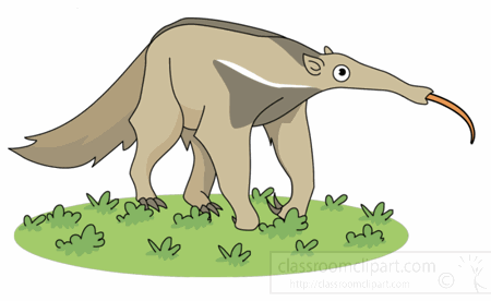 anteater animation