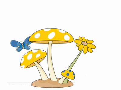 butterfly mushroom animation