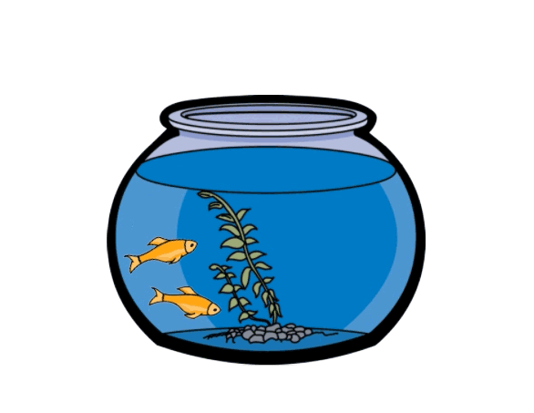 fish bowl animation