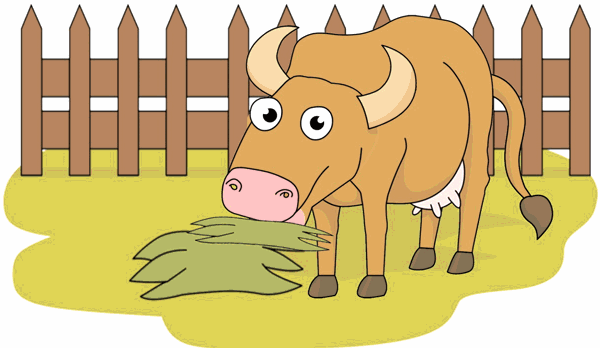 funny looking cow on farm eating hay animated clipart