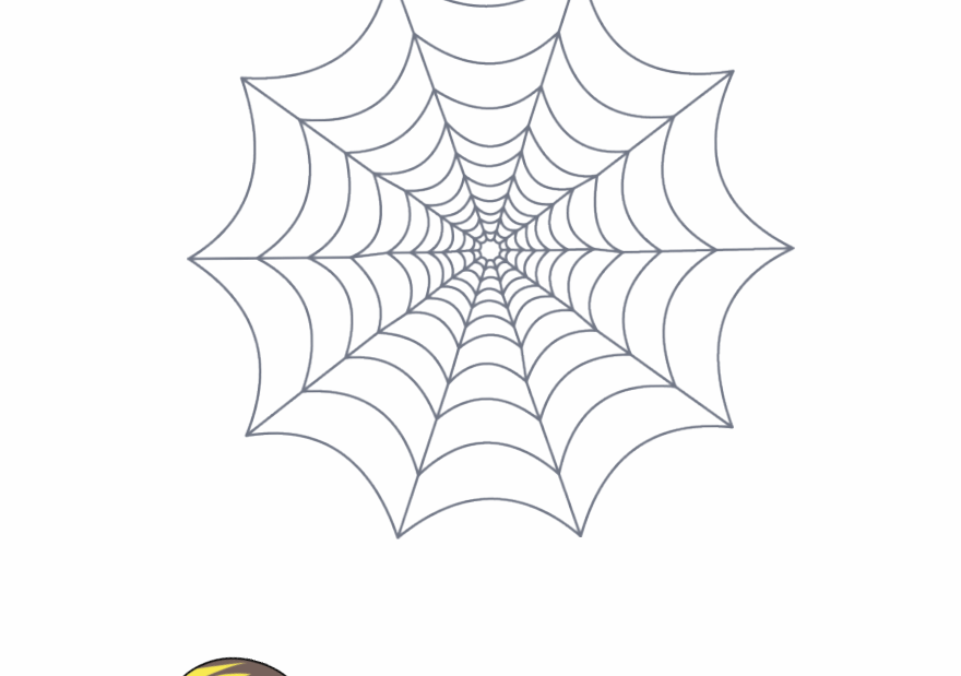 Spider Web Animation