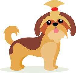 adorable brown shih tzu dog with bow in hair clipart