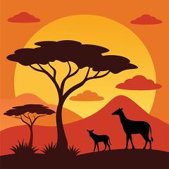 african savanna giraffes silhouetted against a orange sunset