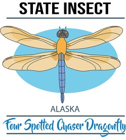 alaska state insect the four spotted chaser dragonfly clipart