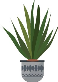 aloe vera plant growing in decorative pot