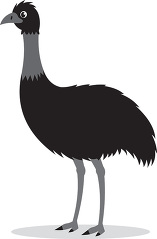 an emu standing on its hind legs on a white background gray colo
