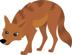 angry looking coyote clipart