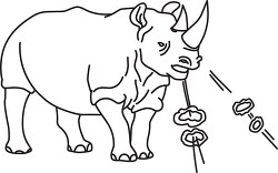 angry rhinoceros looks to attack outline printable clip art