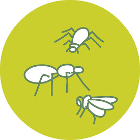 animal ant round icon clipart