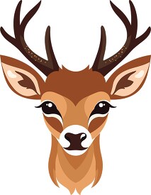 animal face deer