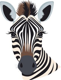 animal face of a black white zebra
