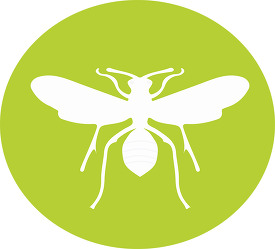 animal insect round icon clipart