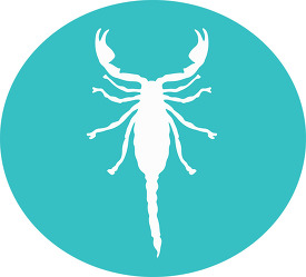 animal scorpion round icon clipart