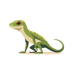 anole lizard with large eyes clip art
