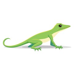 anole slender bodies with long tails clip art
