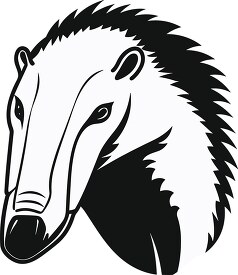 anteater face