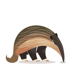 anteater with long snout and sticky tongues