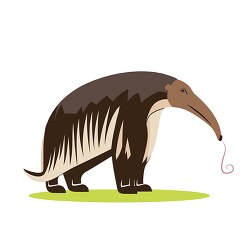 anteater with long sticky muscular tongues