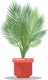 Areca Palm House Plant Clipart
