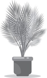 areca palm house plant gray color clip art