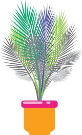 areca palm house plant gray green color clip art