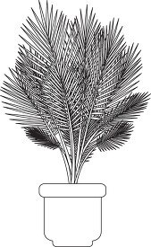 areca palm house plant printable cutout clip art