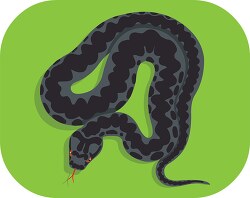 Asp venomous snake found in the Nilel Clipart