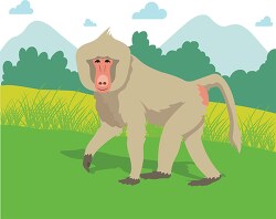 baboon walking in the forest in africa clipart