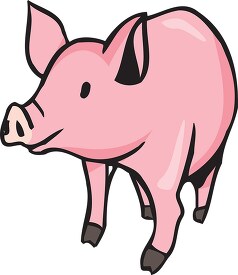 baby pink farm pig shows snout clip art