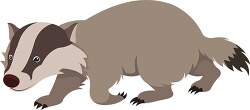 badger mammal with furry body and striped face clip art