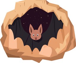 bat hanging in a cave