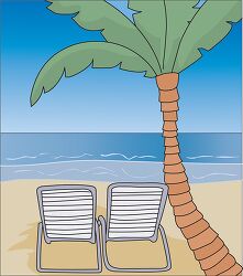 beach palm trees ocean 3