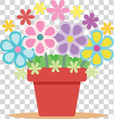 beautiful colourful flower pot